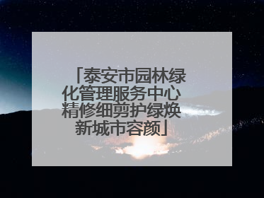 泰安市园林绿化管理服务中心精修细剪护绿焕新城市容颜